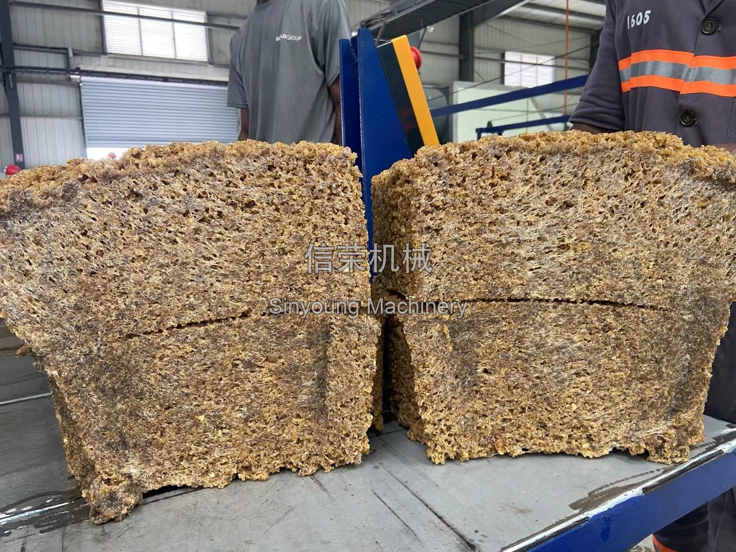 Cut-Bale Inspection with No Underdried White Spots